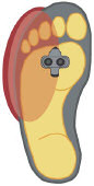 Foot Pressure Point